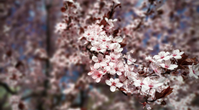 Дневник войны, глава 300. «Осторожно спрашиваю у подруги о планах на выходные – о шашлыках»