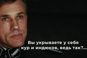 В России ввели штрафы за незарегистрированных кур
