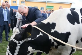 Карбалевіч: «Колькі будзе каштаваць новая ідэя-фікс Лукашэнкі, здаецца, ніхто не лічыў. А каштаваць будзе нямала»